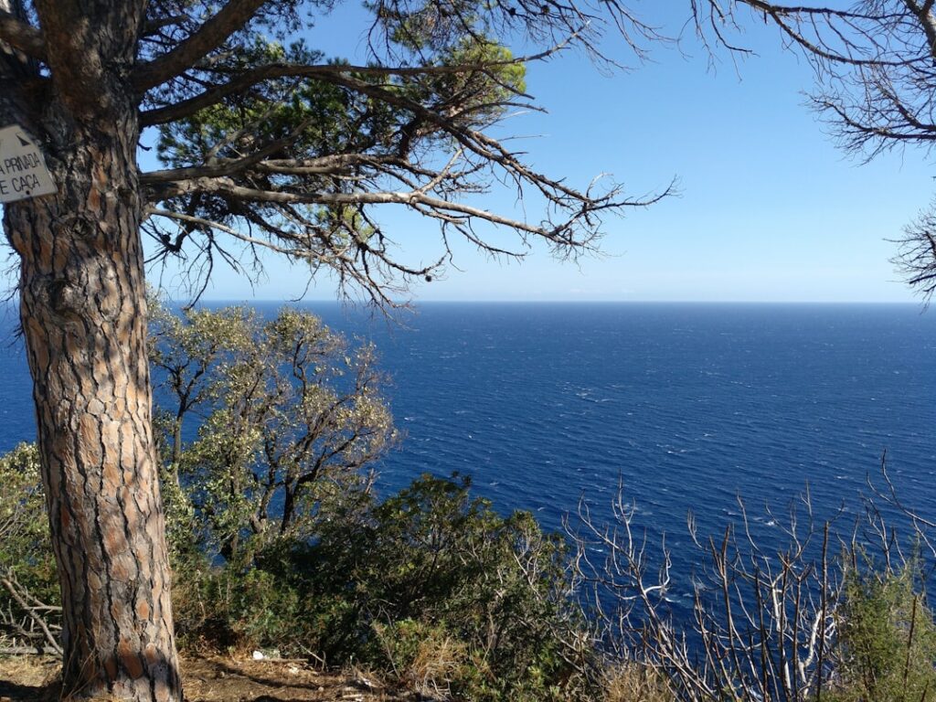 Photo Mediterranean landscape