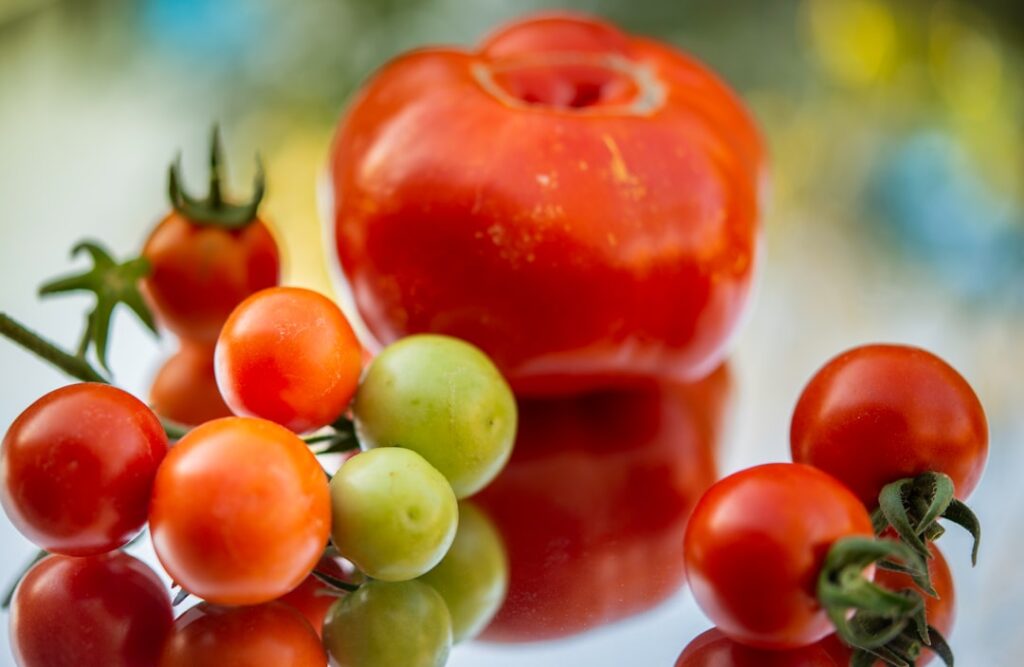 Photo Fresh tomatoes