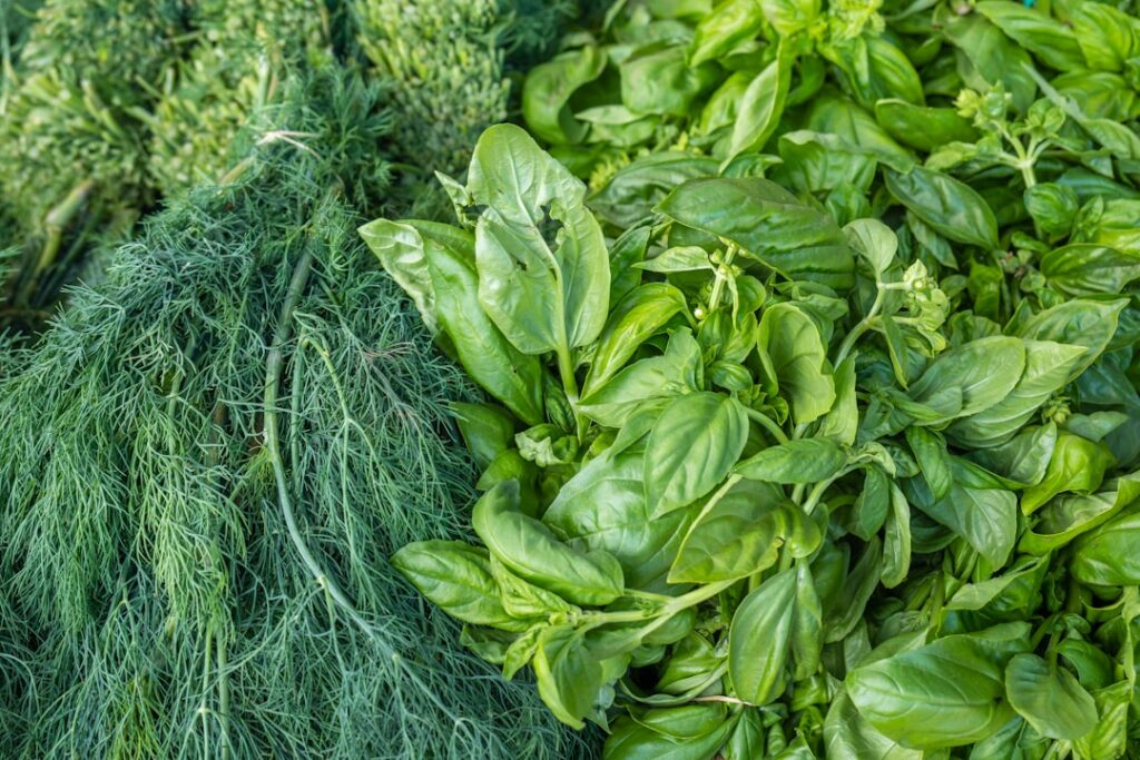 Photo Mediterranean diet