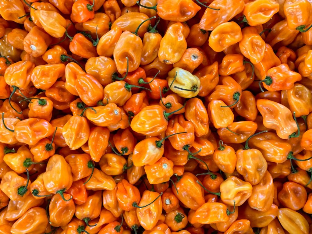 Photo Mediterranean Spice Blend