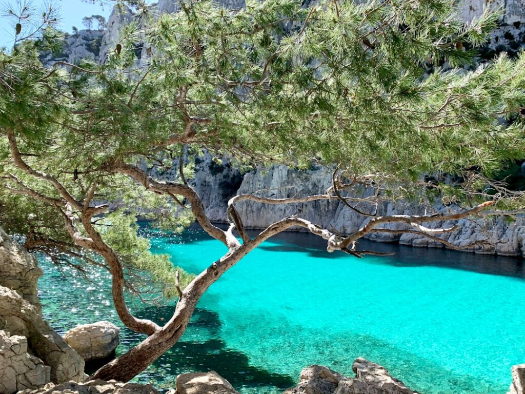 Photo Mediterranean