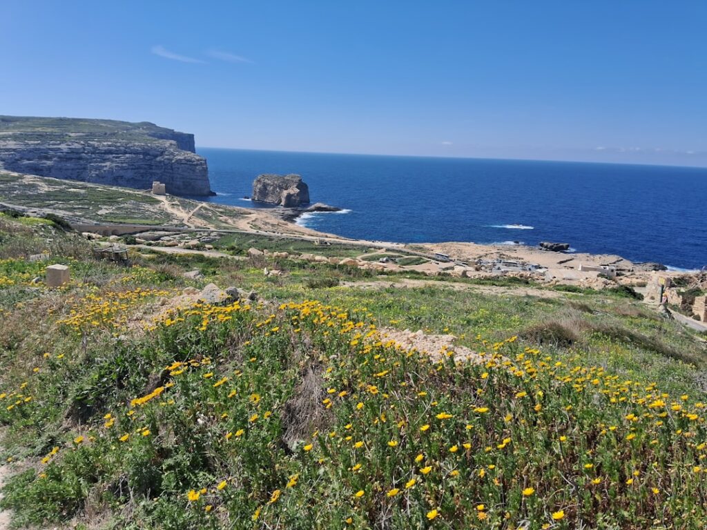 Photo Seizoensgroenten Mediterranee