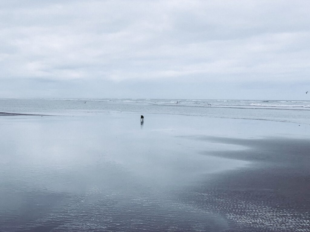 Photo Wandelen langs zee