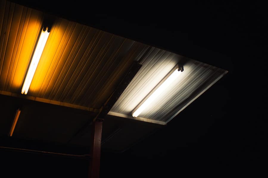 daglicht
