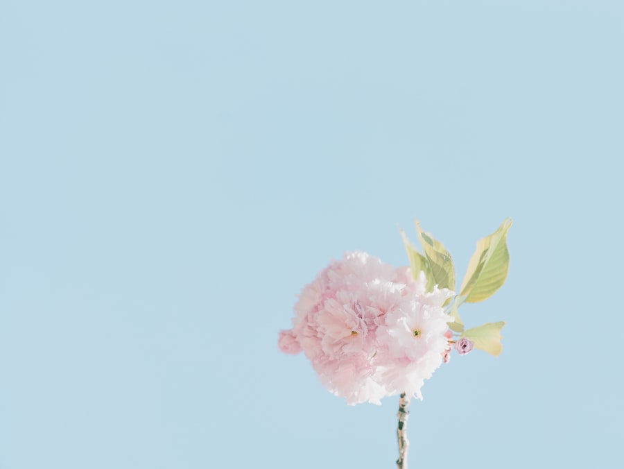 Photo simplicity