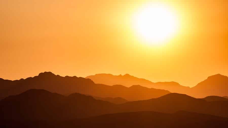 sunlight
